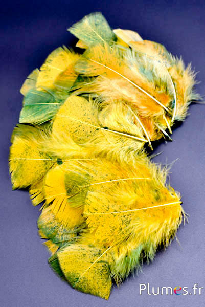 Dinde mouchetée couleur verte - 6-8 cm - curry
